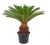 6883169_1.webp