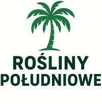 Rośliny południowe - strona główna